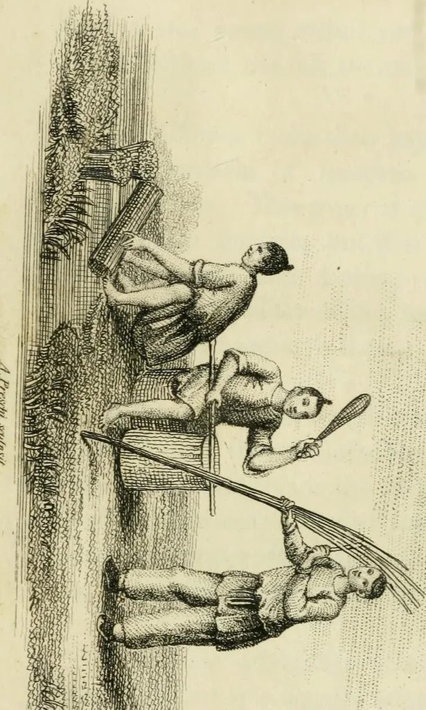 An illustration from China, its costume, arts, manufactures, &c. : edited principally from the originals in the cabinet of the late M. Bertin, with observations explanatory, historical, and literary, 1812, leaf 48