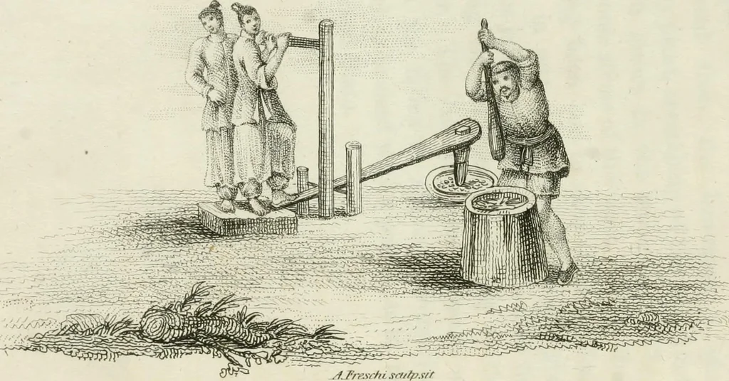 An illustration from China, its costume, arts, manufactures, &c. : edited principally from the originals in the cabinet of the late M. Bertin, with observations explanatory, historical, and literary, 1812, leaf 55