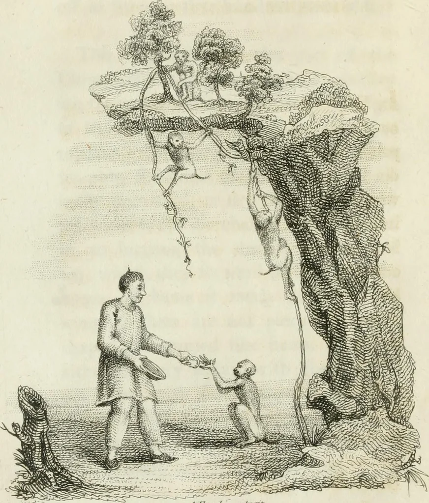 An illustration from China, its costume, arts, manufactures, &c. : edited principally from the originals in the cabinet of the late M. Bertin, with observations explanatory, historical, and literary, 1812, leaf 83