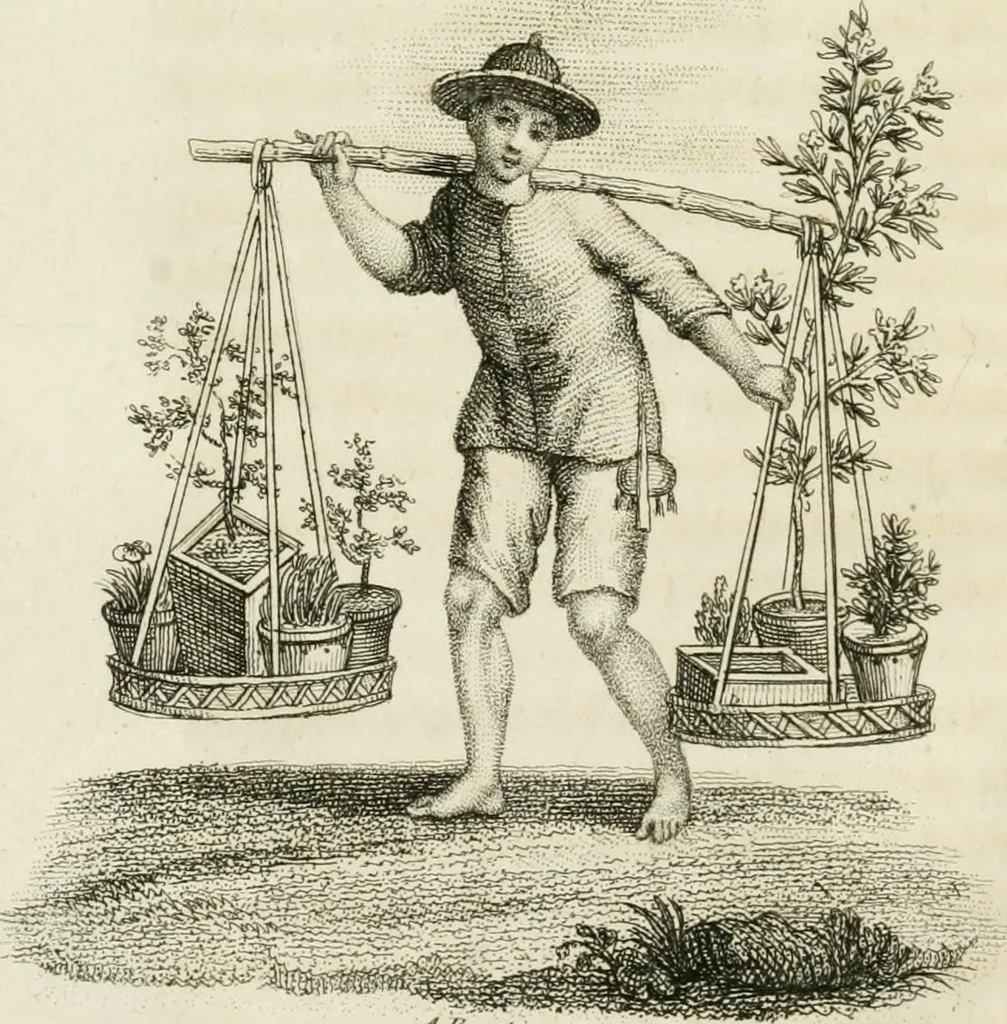 An illustration from China, its costume, arts, manufactures, &c. : edited principally from the originals in the cabinet of the late M. Bertin, with observations explanatory, historical, and literary, 1812, leaf 57