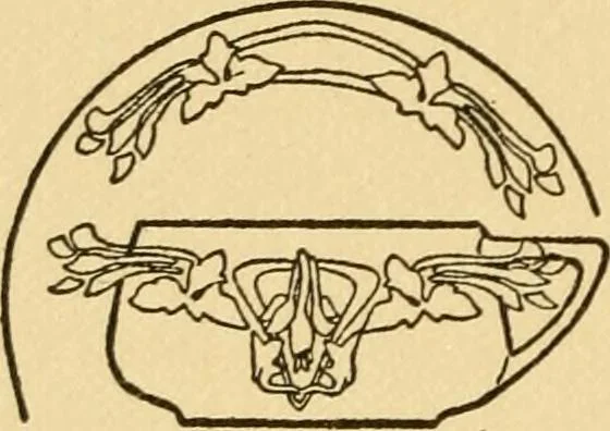 An illustration from china painter instruction book, The, 1914, leaf 11