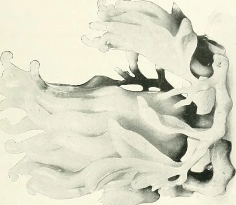 An illustration from Chinese art, 1905, leaf 304