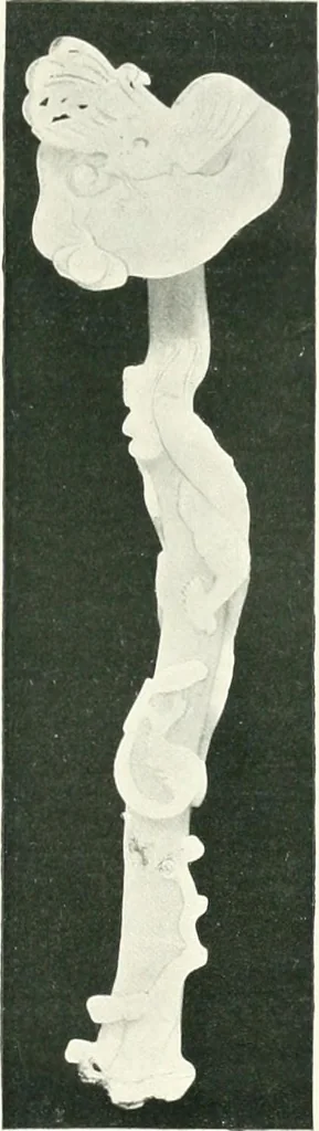 An illustration from Chinese art, 1905, leaf 310