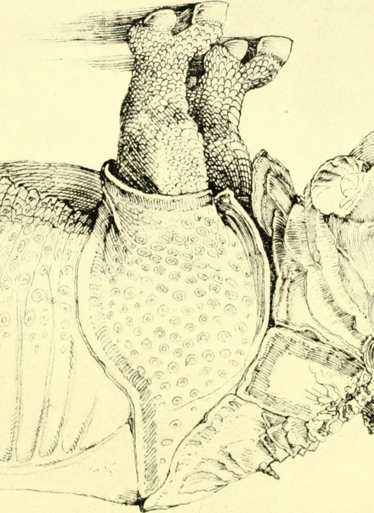 An illustration from Chinese clay figures, 1914, leaf 256