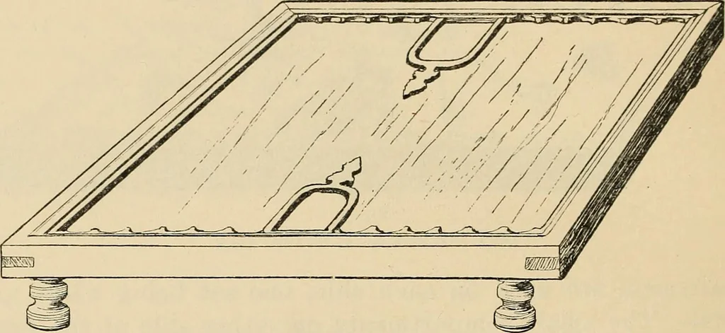 An illustration from Chinese games with dice and dominoes, 1895, leaf 25