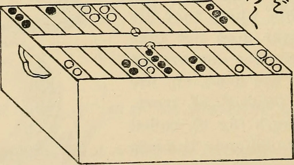 An illustration from Chinese games with dice and dominoes, 1895, leaf 25