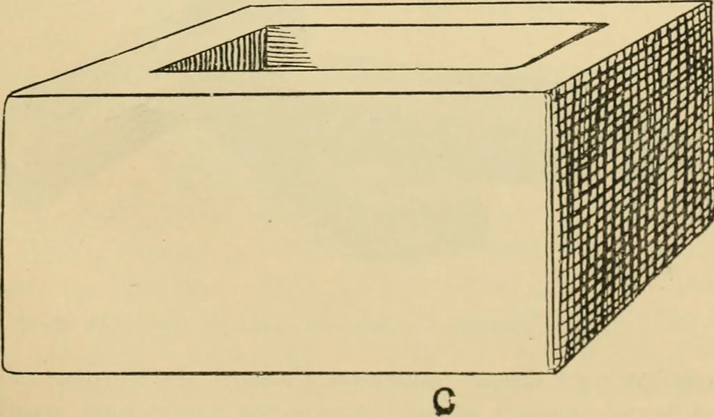 An illustration from Chinese games with dice and dominoes, 1895, leaf 36