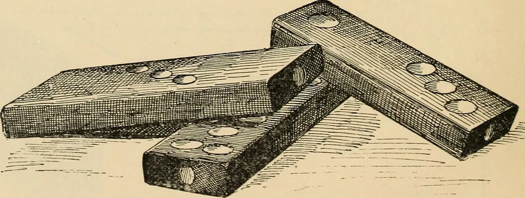 An illustration from Chinese games with dice and dominoes, 1895, leaf 37