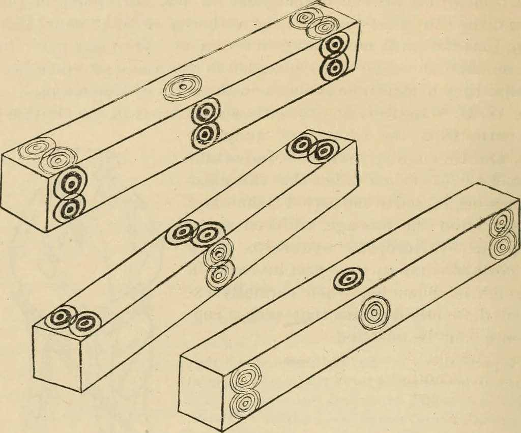 An illustration from Chinese games with dice and dominoes, 1895, leaf 73