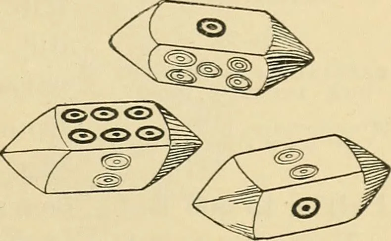 An illustration from Chinese games with dice and dominoes, 1895, leaf 74