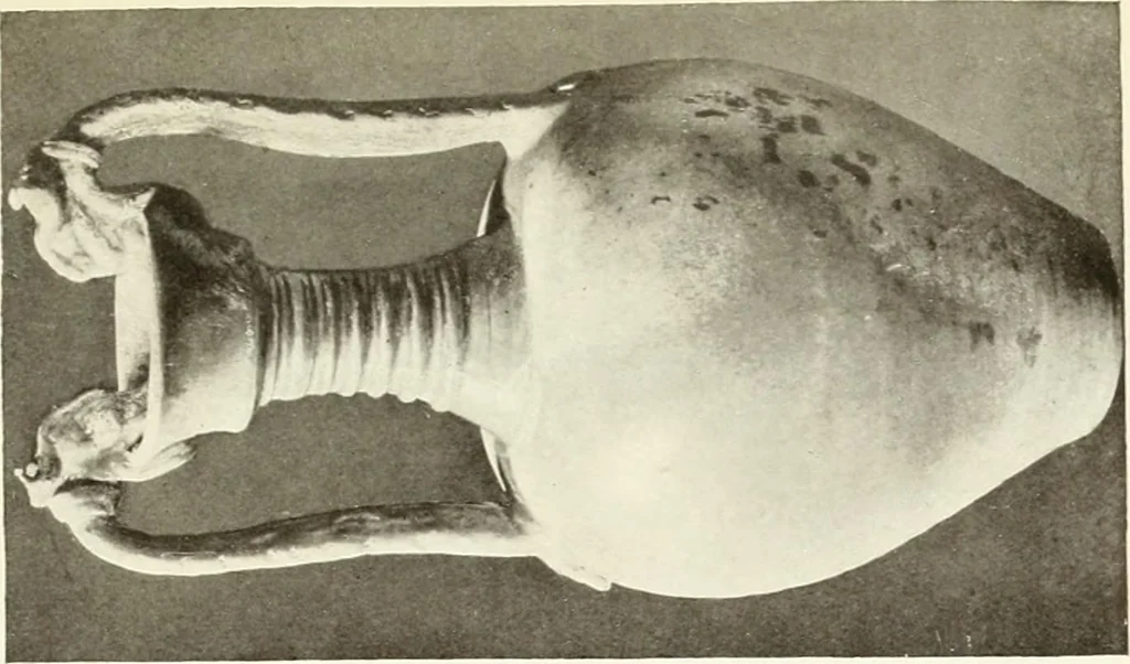 An illustration from Chinese pottery and porcelain : an account of the potter's art in China from primitive times to the present day, 1915, leaf 108