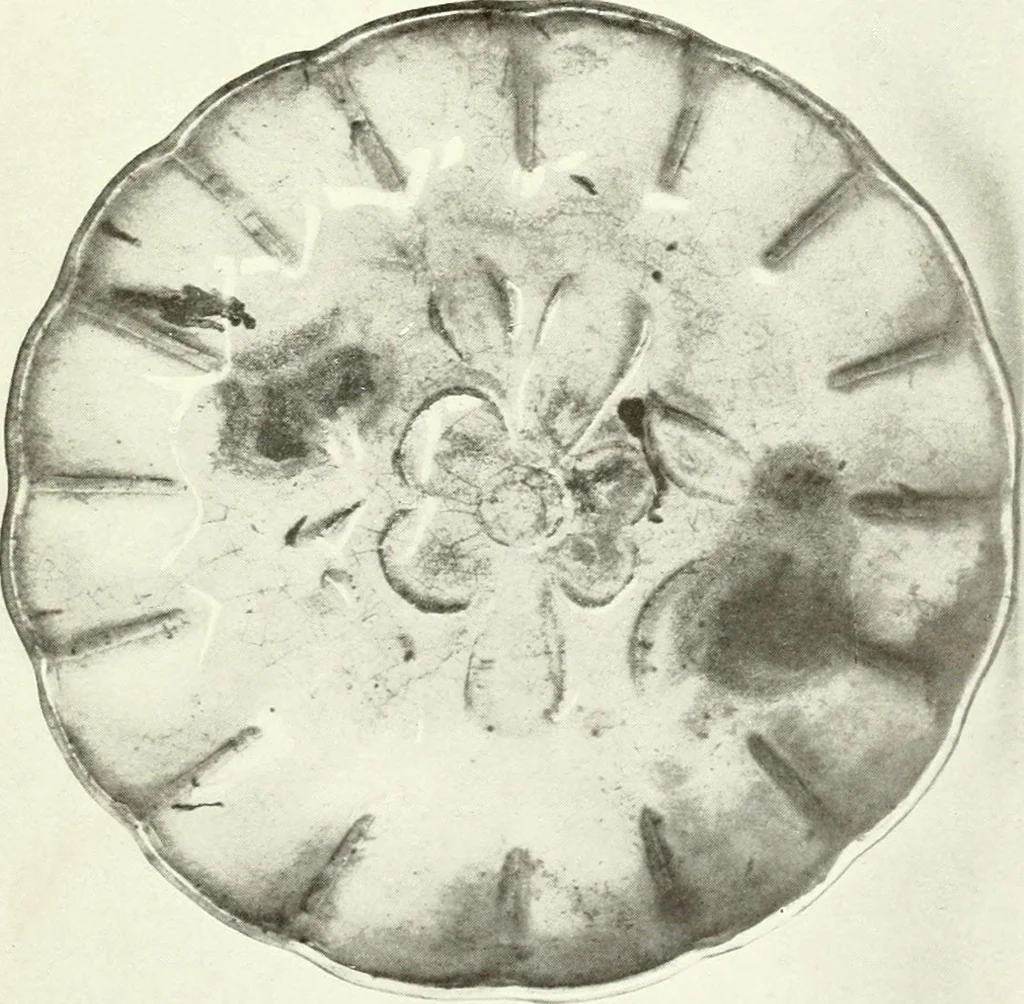 An illustration from Chinese pottery and porcelain : an account of the potter's art in China from primitive times to the present day, 1915, leaf 250