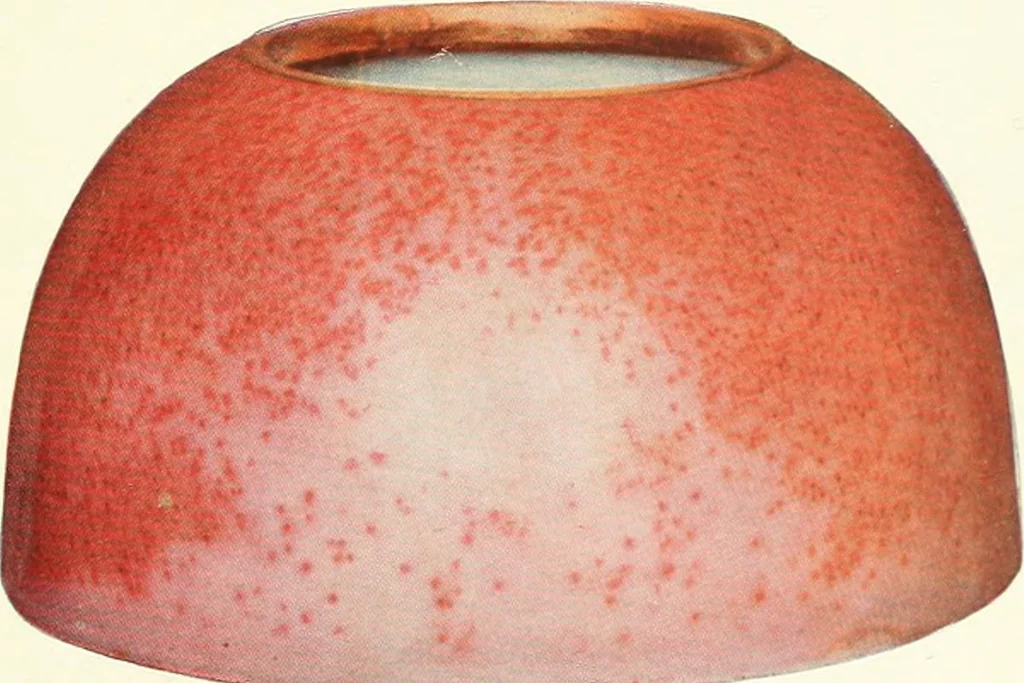 An illustration from Chinese pottery and porcelain : an account of the potter's art in China from primitive times to the present day, 1915, leaf 314