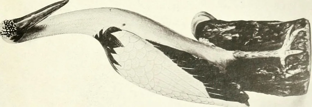 An illustration from Chinese pottery and porcelain : an account of the potter's art in China from primitive times to the present day, 1915, leaf 322