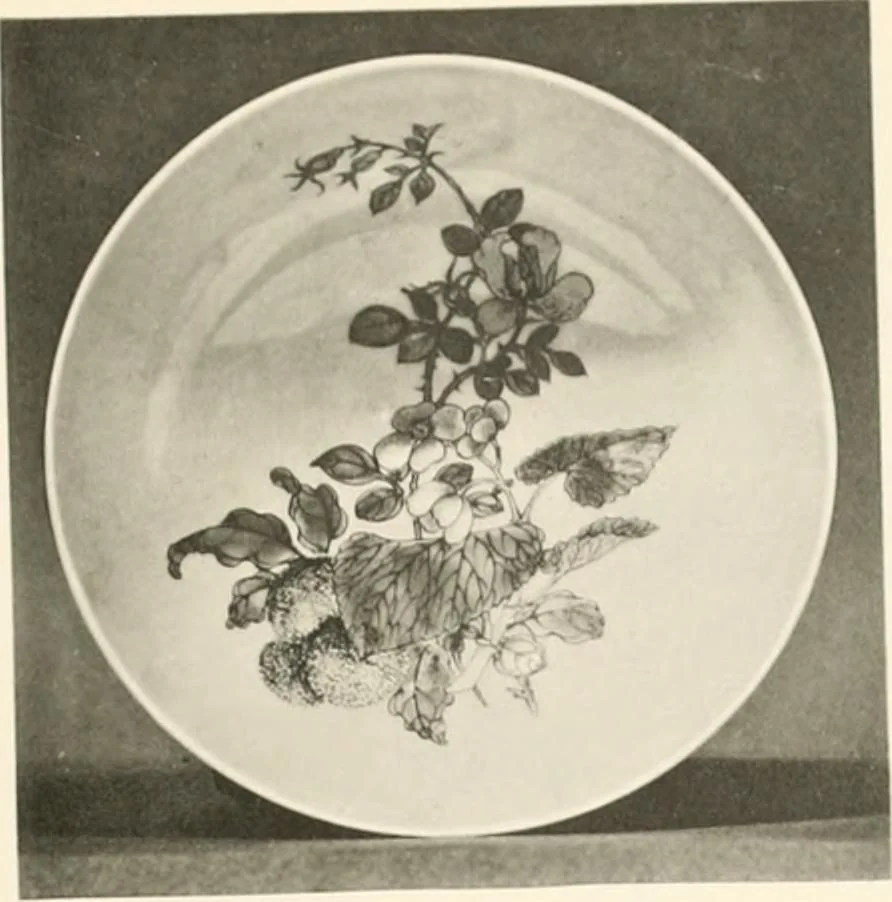 An illustration from Chinesisches Porzellan : seine Geschichte, Kunst und Technik, 1913, leaf 246