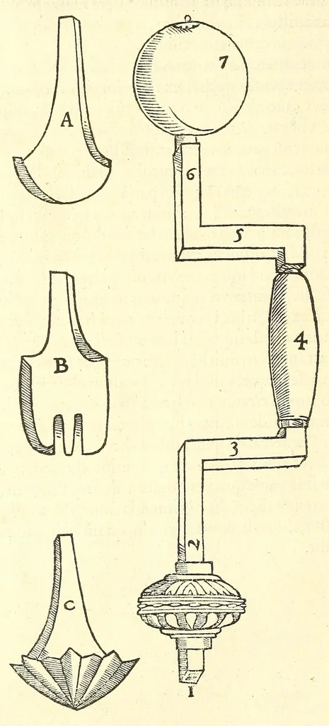 An illustration from Chirurgia, 1544, leaf 162