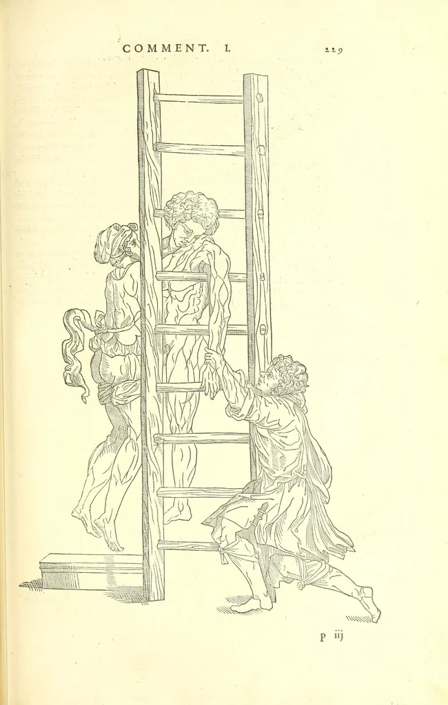 An illustration from Chirurgia, 1544, leaf 269