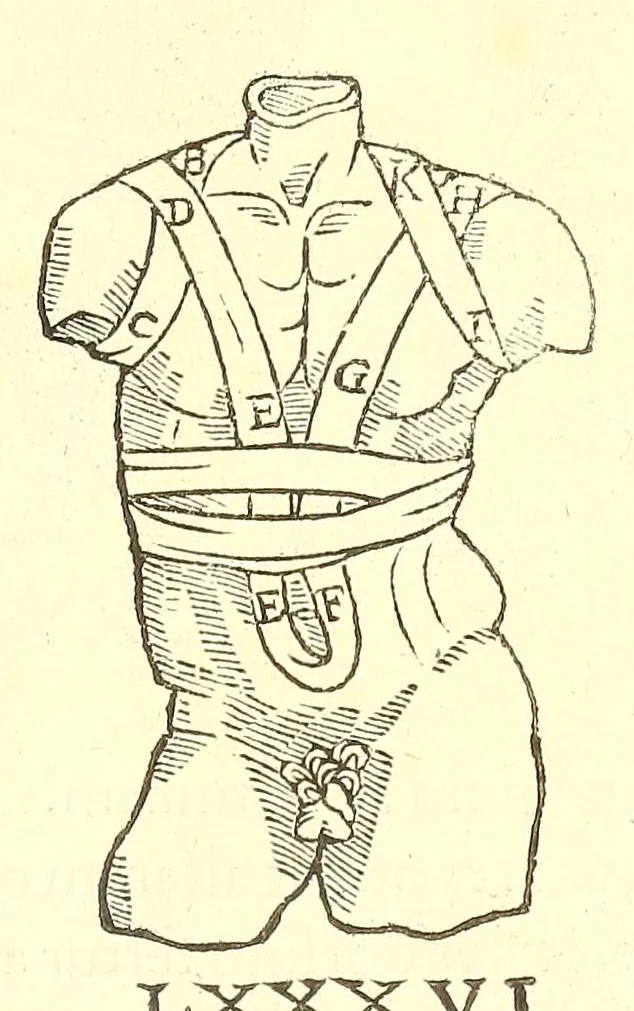 An illustration from Chirurgia, 1544, leaf 489