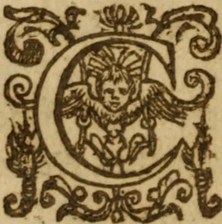 An illustration from The Christian synagogue : Wherein is contayned the diverse reading, the right poynting, translation, and collation of scripture with scripture. With the customes of the Hebrewes and proselytes, and of all those nations, with whom they were conversant .., 1633, leaf 305