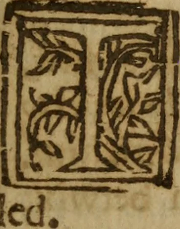 An illustration from The Christian synagogue : Wherein is contayned the diverse reading, the right poynting, translation, and collation of scripture with scripture. With the customes of the Hebrewes and proselytes, and of all those nations, with whom they were conversant .., 1633, leaf 324