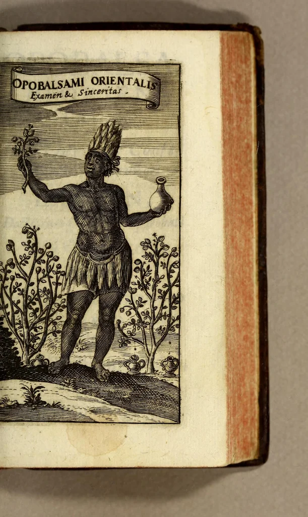 An illustration from Chocolata Inda. : Opusculum de qualitate & naturâ chocolatæ,, 1644, leaf 107