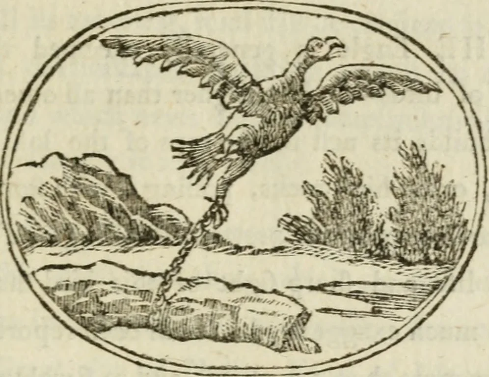 An illustration from Choice emblems : natural, historical, fabulous, moral and divine, for the improvement and pastime of youth : ornamented with near fifty handsome allegorical engravings, designed on purpose for this work : with pleasing and familiar descriptions to each, in prose and verse, serving to display the beauties and morals of the ancient fabulists : the whole calculated to convey the golden lessons of instruction under a new and more delightful dress : written for the amusement of the right honorable Lord Newbattle, 1772, leaf 126