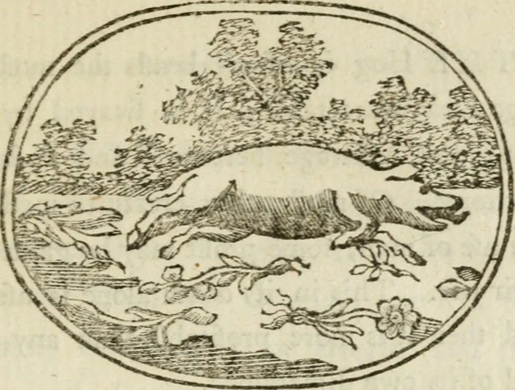 An illustration from Choice emblems : natural, historical, fabulous, moral and divine, for the improvement and pastime of youth : ornamented with near fifty handsome allegorical engravings, designed on purpose for this work : with pleasing and familiar descriptions to each, in prose and verse, serving to display the beauties and morals of the ancient fabulists : the whole calculated to convey the golden lessons of instruction under a new and more delightful dress : written for the amusement of the right honorable Lord Newbattle, 1772, leaf 134