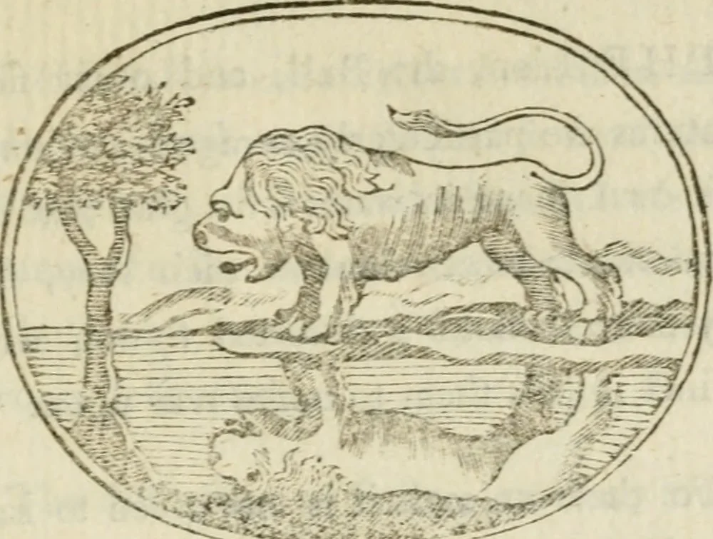 An illustration from Choice emblems : natural, historical, fabulous, moral and divine, for the improvement and pastime of youth : ornamented with near fifty handsome allegorical engravings, designed on purpose for this work : with pleasing and familiar descriptions to each, in prose and verse, serving to display the beauties and morals of the ancient fabulists : the whole calculated to convey the golden lessons of instruction under a new and more delightful dress : written for the amusement of the right honorable Lord Newbattle, 1772, leaf 150