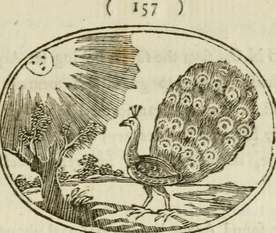 An illustration from Choice emblems : natural, historical, fabulous, moral and divine, for the improvement and pastime of youth : ornamented with near fifty handsome allegorical engravings, designed on purpose for this work : with pleasing and familiar descriptions to each, in prose and verse, serving to display the beauties and morals of the ancient fabulists : the whole calculated to convey the golden lessons of instruction under a new and more delightful dress : written for the amusement of the right honorable Lord Newbattle, 1772, leaf 174