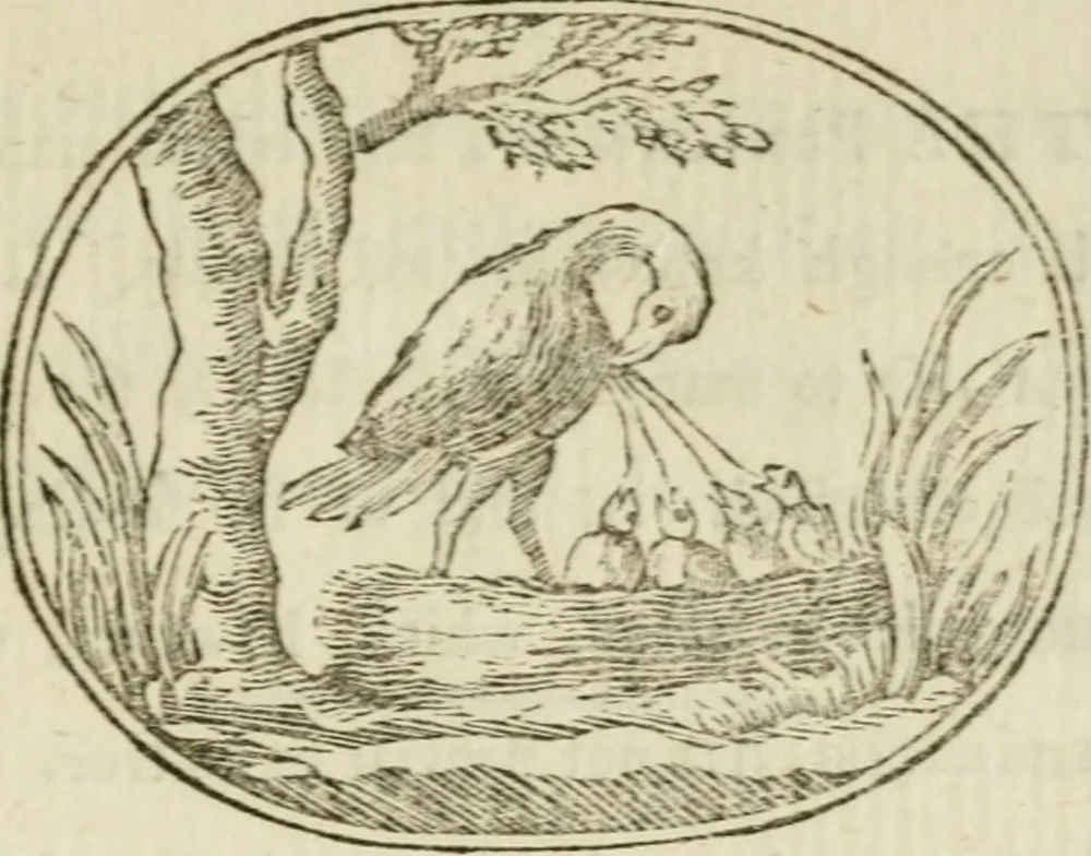 An illustration from Choice emblems : natural, historical, fabulous, moral and divine, for the improvement and pastime of youth : ornamented with near fifty handsome allegorical engravings, designed on purpose for this work : with pleasing and familiar descriptions to each, in prose and verse, serving to display the beauties and morals of the ancient fabulists : the whole calculated to convey the golden lessons of instruction under a new and more delightful dress : written for the amusement of the right honorable Lord Newbattle, 1772, leaf 194