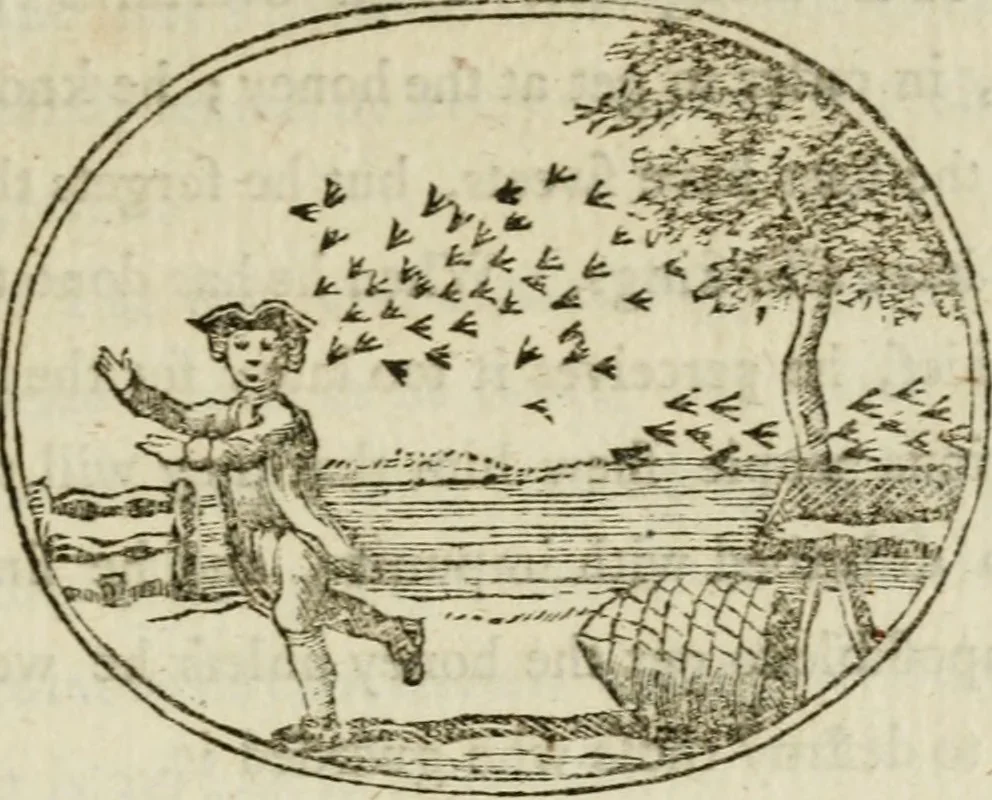 An illustration from Choice emblems : natural, historical, fabulous, moral and divine, for the improvement and pastime of youth : ornamented with near fifty handsome allegorical engravings, designed on purpose for this work : with pleasing and familiar descriptions to each, in prose and verse, serving to display the beauties and morals of the ancient fabulists : the whole calculated to convey the golden lessons of instruction under a new and more delightful dress : written for the amusement of the right honorable Lord Newbattle, 1772, leaf 26