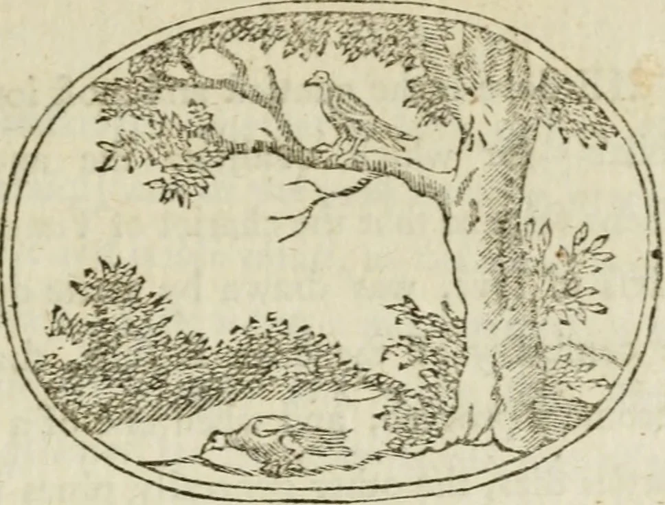 An illustration from Choice emblems : natural, historical, fabulous, moral and divine, for the improvement and pastime of youth : ornamented with near fifty handsome allegorical engravings, designed on purpose for this work : with pleasing and familiar descriptions to each, in prose and verse, serving to display the beauties and morals of the ancient fabulists : the whole calculated to convey the golden lessons of instruction under a new and more delightful dress : written for the amusement of the right honorable Lord Newbattle, 1772, leaf 42