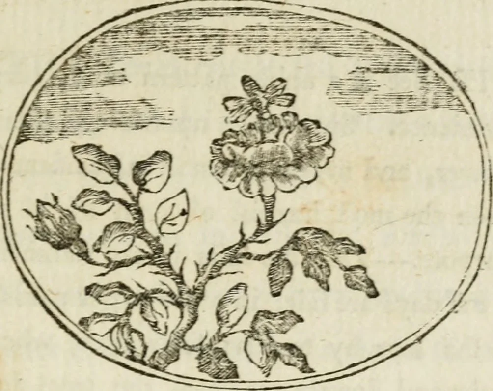 An illustration from Choice emblems : natural, historical, fabulous, moral and divine, for the improvement and pastime of youth : ornamented with near fifty handsome allegorical engravings, designed on purpose for this work : with pleasing and familiar descriptions to each, in prose and verse, serving to display the beauties and morals of the ancient fabulists : the whole calculated to convey the golden lessons of instruction under a new and more delightful dress : written for the amusement of the right honorable Lord Newbattle, 1772, leaf 78