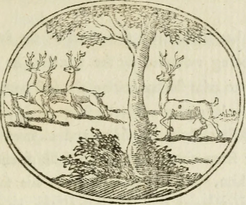 An illustration from Choice emblems : natural, historical, fabulous, moral and divine, for the improvement and pastime of youth : ornamented with near fifty handsome allegorical engravings, designed on purpose for this work : with pleasing and familiar descriptions to each, in prose and verse, serving to display the beauties and morals of the ancient fabulists : the whole calculated to convey the golden lessons of instruction under a new and more delightful dress : written for the amusement of the right honorable Lord Newbattle, 1772, leaf 94