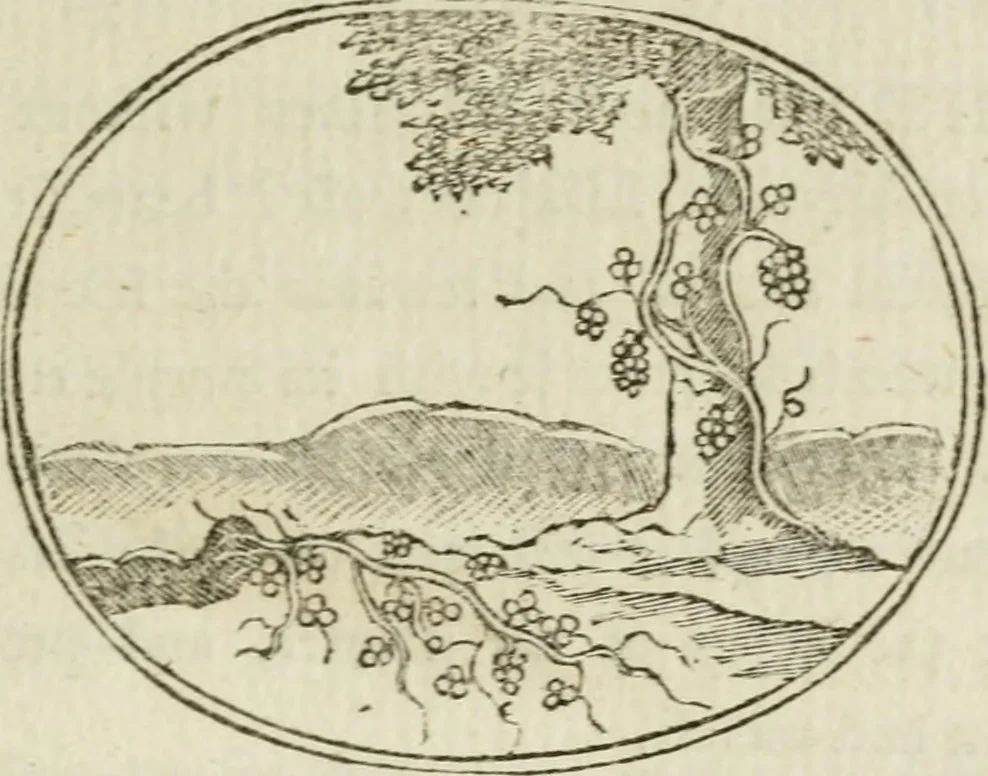 An illustration from Choice emblems : natural, historical, fabulous, moral and divine, for the improvement and pastime of youth : ornamented with near fifty handsome allegorical engravings, designed on purpose for this work : with pleasing and familiar descriptions to each, in prose and verse, serving to display the beauties and morals of the ancient fabulists : the whole calculated to convey the golden lessons of instruction under a new and more delightful dress : written for the amusement of the right honorable Lord Newbattle, 1772, leaf 98