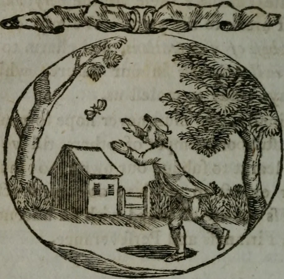 An illustration from Choice emblems, natural, historical, fabulous, moral, and divine : for the improvement and pastime of youth : displaying the beauties and morals of the ancient fabulists, the whole calculated to convey the golden lessons of instruction under a new and more delightful dress : written for the amusement of a young nobleman, 1793, leaf 109