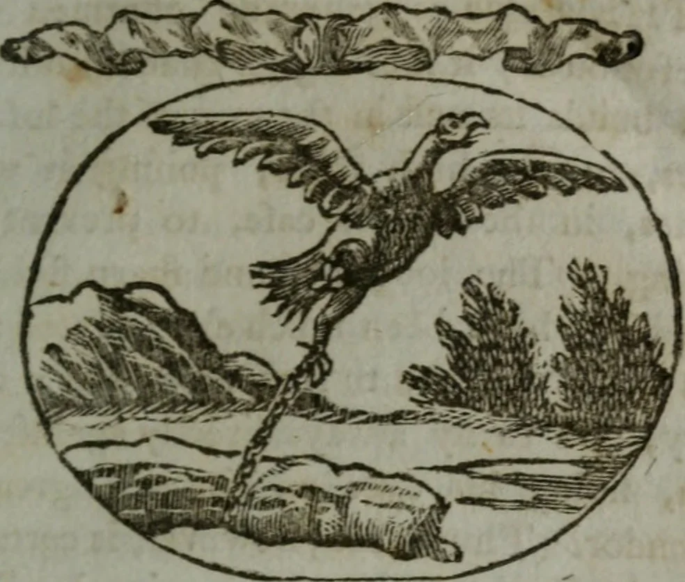 An illustration from Choice emblems, natural, historical, fabulous, moral, and divine : for the improvement and pastime of youth : displaying the beauties and morals of the ancient fabulists, the whole calculated to convey the golden lessons of instruction under a new and more delightful dress : written for the amusement of a young nobleman, 1793, leaf 112