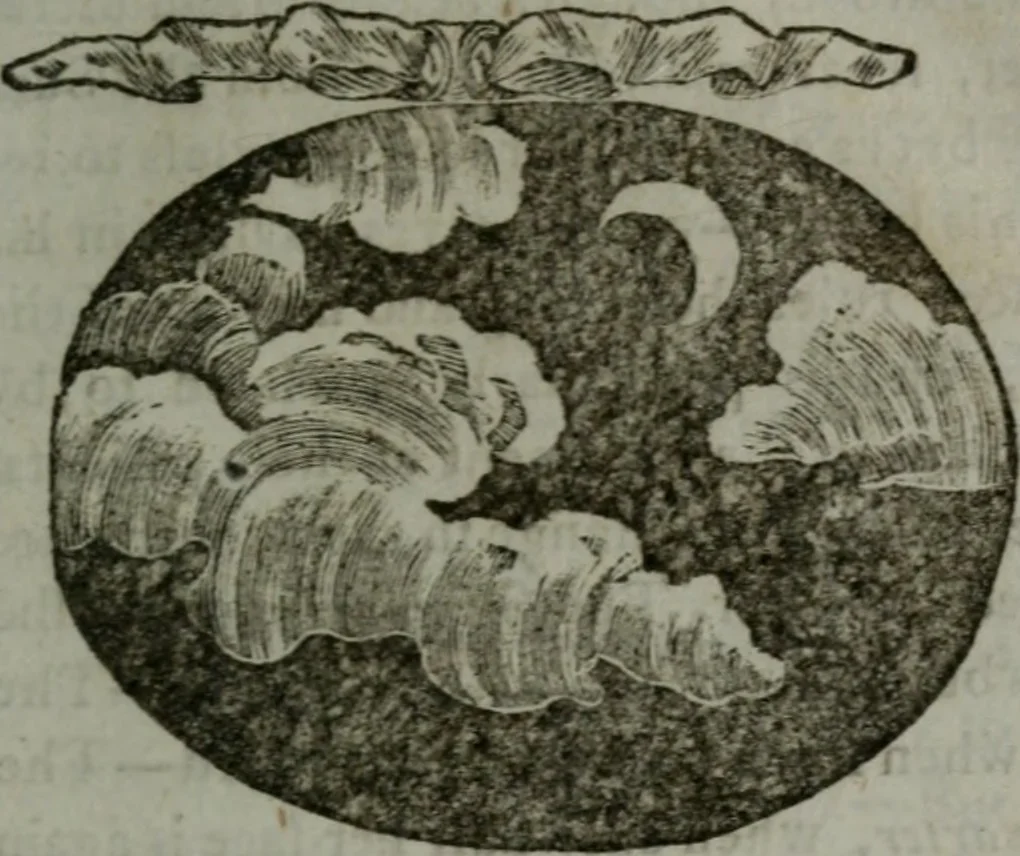 An illustration from Choice emblems, natural, historical, fabulous, moral, and divine : for the improvement and pastime of youth : displaying the beauties and morals of the ancient fabulists, the whole calculated to convey the golden lessons of instruction under a new and more delightful dress : written for the amusement of a young nobleman, 1793, leaf 124