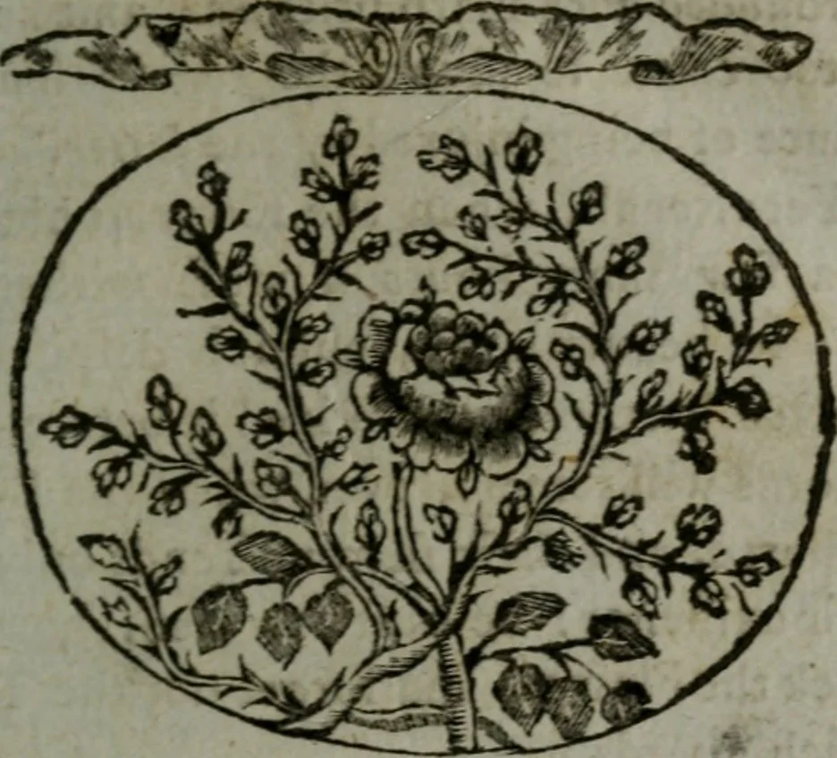 An illustration from Choice emblems, natural, historical, fabulous, moral, and divine : for the improvement and pastime of youth : displaying the beauties and morals of the ancient fabulists, the whole calculated to convey the golden lessons of instruction under a new and more delightful dress : written for the amusement of a young nobleman, 1793, leaf 136
