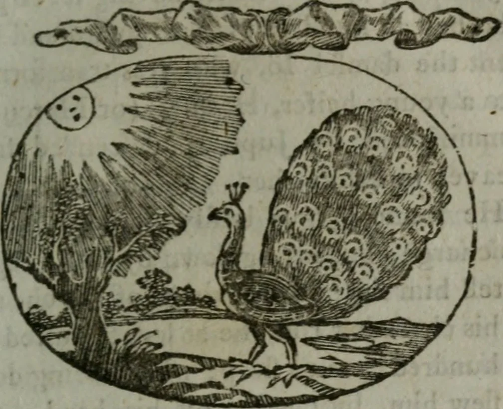 An illustration from Choice emblems, natural, historical, fabulous, moral, and divine : for the improvement and pastime of youth : displaying the beauties and morals of the ancient fabulists, the whole calculated to convey the golden lessons of instruction under a new and more delightful dress : written for the amusement of a young nobleman, 1793, leaf 146