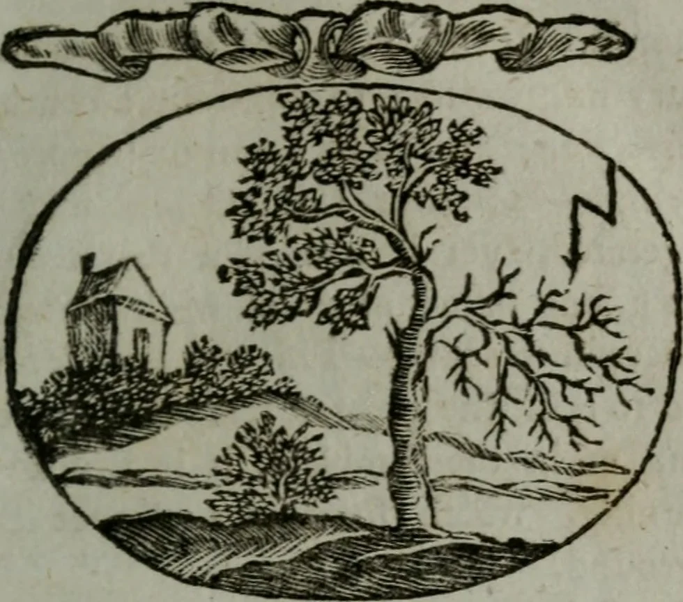 An illustration from Choice emblems, natural, historical, fabulous, moral, and divine : for the improvement and pastime of youth : displaying the beauties and morals of the ancient fabulists, the whole calculated to convey the golden lessons of instruction under a new and more delightful dress : written for the amusement of a young nobleman, 1793, leaf 158