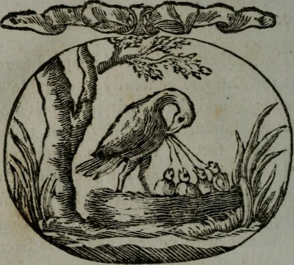 An illustration from Choice emblems, natural, historical, fabulous, moral, and divine : for the improvement and pastime of youth : displaying the beauties and morals of the ancient fabulists, the whole calculated to convey the golden lessons of instruction under a new and more delightful dress : written for the amusement of a young nobleman, 1793, leaf 161