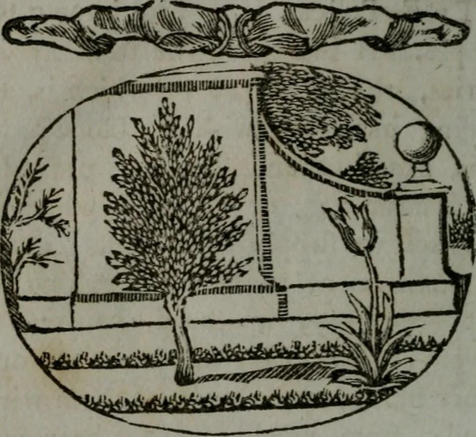 An illustration from Choice emblems, natural, historical, fabulous, moral, and divine : for the improvement and pastime of youth : displaying the beauties and morals of the ancient fabulists, the whole calculated to convey the golden lessons of instruction under a new and more delightful dress : written for the amusement of a young nobleman, 1793, leaf 163