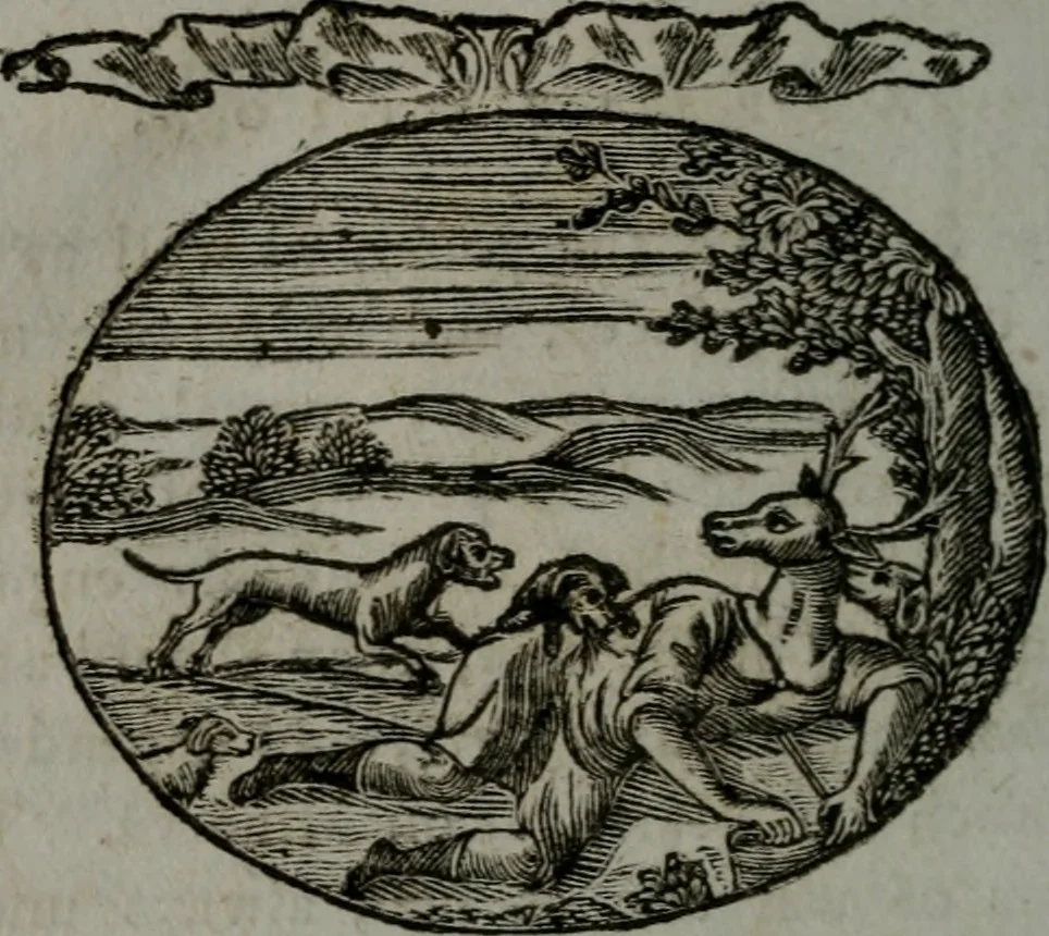An illustration from Choice emblems, natural, historical, fabulous, moral, and divine : for the improvement and pastime of youth : displaying the beauties and morals of the ancient fabulists, the whole calculated to convey the golden lessons of instruction under a new and more delightful dress : written for the amusement of a young nobleman, 1793, leaf 169