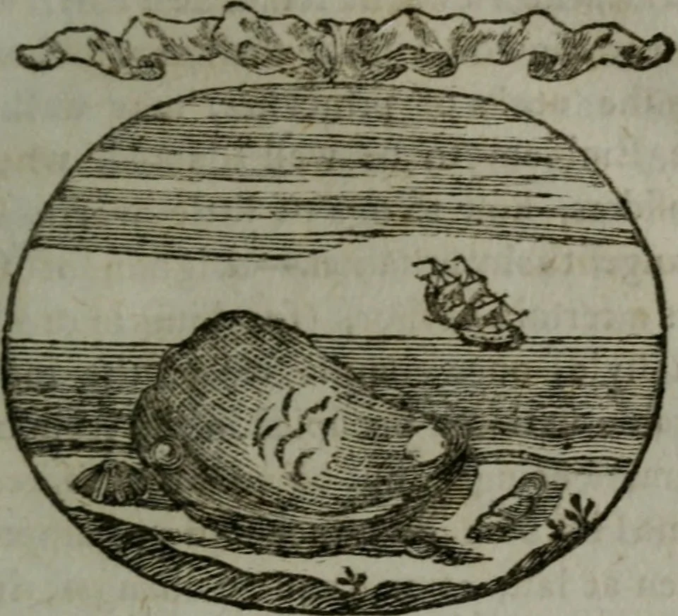 An illustration from Choice emblems, natural, historical, fabulous, moral, and divine : for the improvement and pastime of youth : displaying the beauties and morals of the ancient fabulists, the whole calculated to convey the golden lessons of instruction under a new and more delightful dress : written for the amusement of a young nobleman, 1793, leaf 172