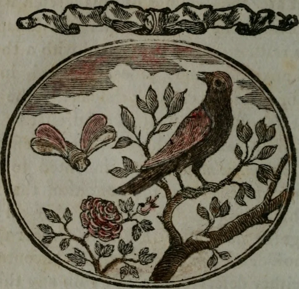An illustration from Choice emblems, natural, historical, fabulous, moral, and divine : for the improvement and pastime of youth : displaying the beauties and morals of the ancient fabulists, the whole calculated to convey the golden lessons of instruction under a new and more delightful dress : written for the amusement of a young nobleman, 1793, leaf 181