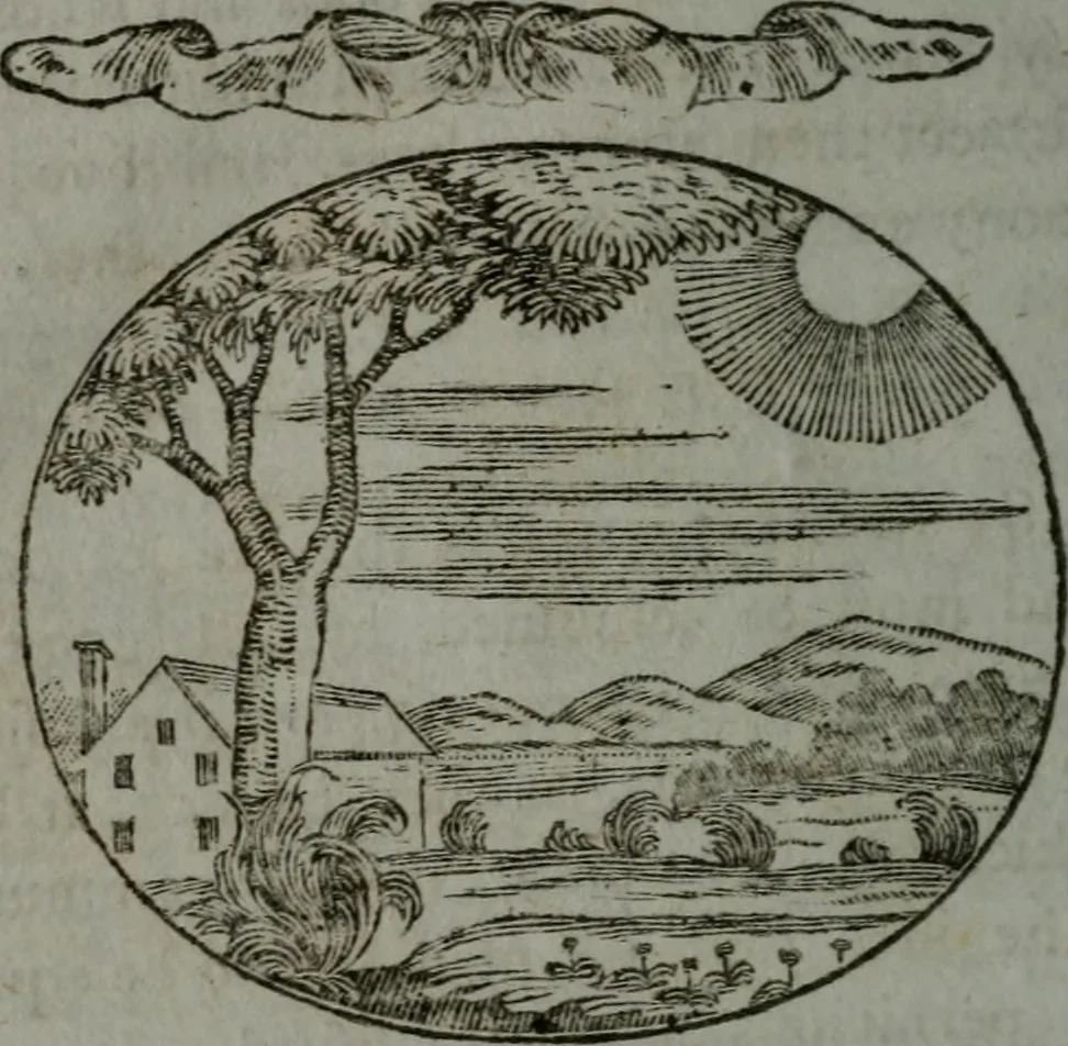 An illustration from Choice emblems, natural, historical, fabulous, moral, and divine : for the improvement and pastime of youth : displaying the beauties and morals of the ancient fabulists, the whole calculated to convey the golden lessons of instruction under a new and more delightful dress : written for the amusement of a young nobleman, 1793, leaf 197