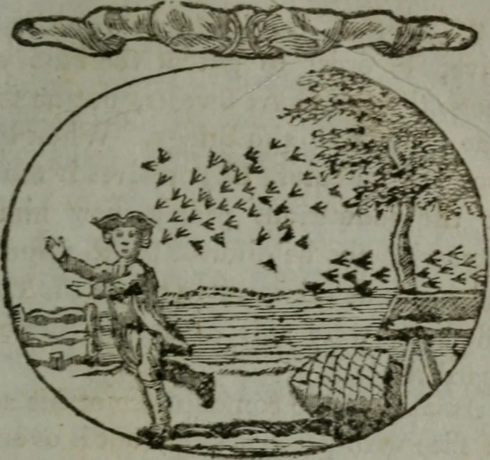 An illustration from Choice emblems, natural, historical, fabulous, moral, and divine : for the improvement and pastime of youth : displaying the beauties and morals of the ancient fabulists, the whole calculated to convey the golden lessons of instruction under a new and more delightful dress : written for the amusement of a young nobleman, 1793, leaf 34