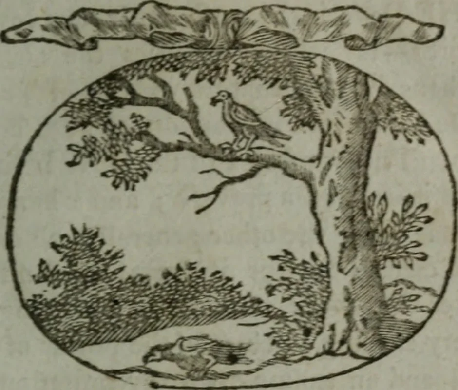 An illustration from Choice emblems, natural, historical, fabulous, moral, and divine : for the improvement and pastime of youth : displaying the beauties and morals of the ancient fabulists, the whole calculated to convey the golden lessons of instruction under a new and more delightful dress : written for the amusement of a young nobleman, 1793, leaf 46
