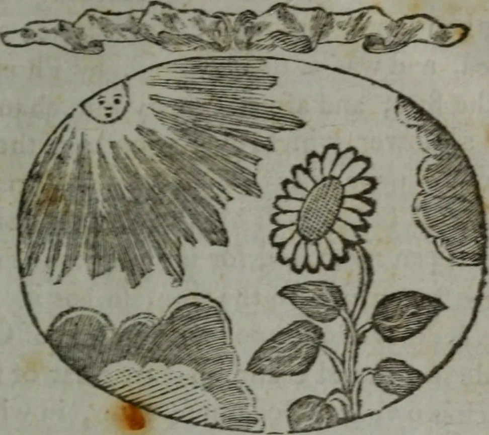 An illustration from Choice emblems, natural, historical, fabulous, moral, and divine : for the improvement and pastime of youth : displaying the beauties and morals of the ancient fabulists, the whole calculated to convey the golden lessons of instruction under a new and more delightful dress : written for the amusement of a young nobleman, 1793, leaf 52